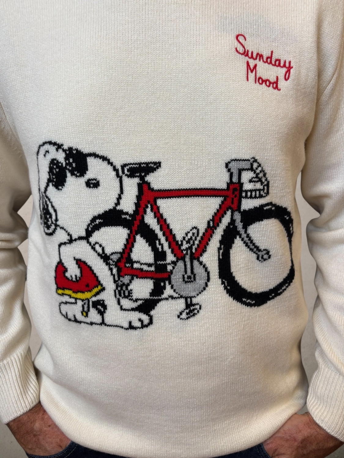 Maglione verde Snoopy Glamping