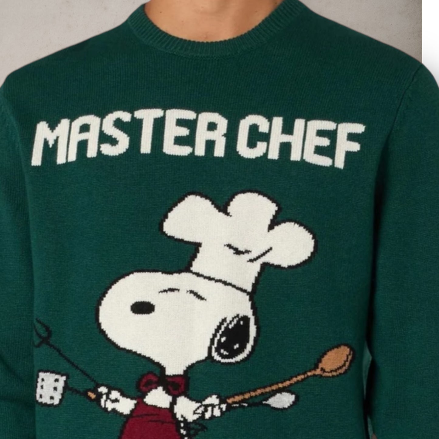 Green Sweater Snoopy Master Chef