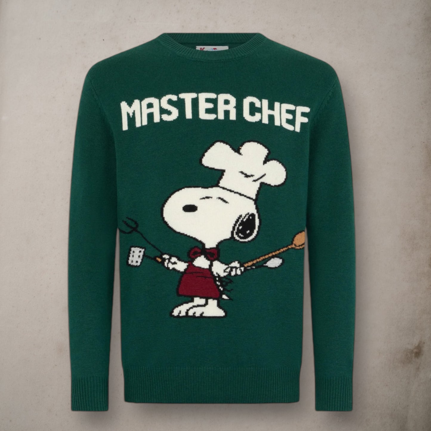 Green Sweater Snoopy Master Chef