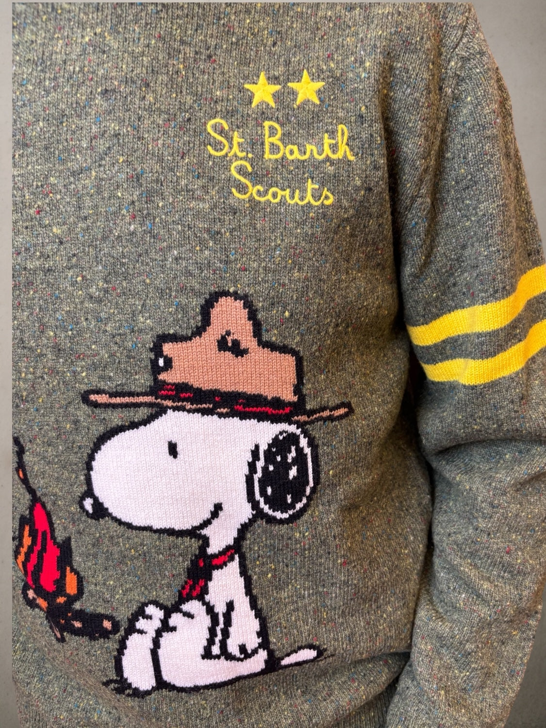 Green  Sweater  Snoopy Scout
