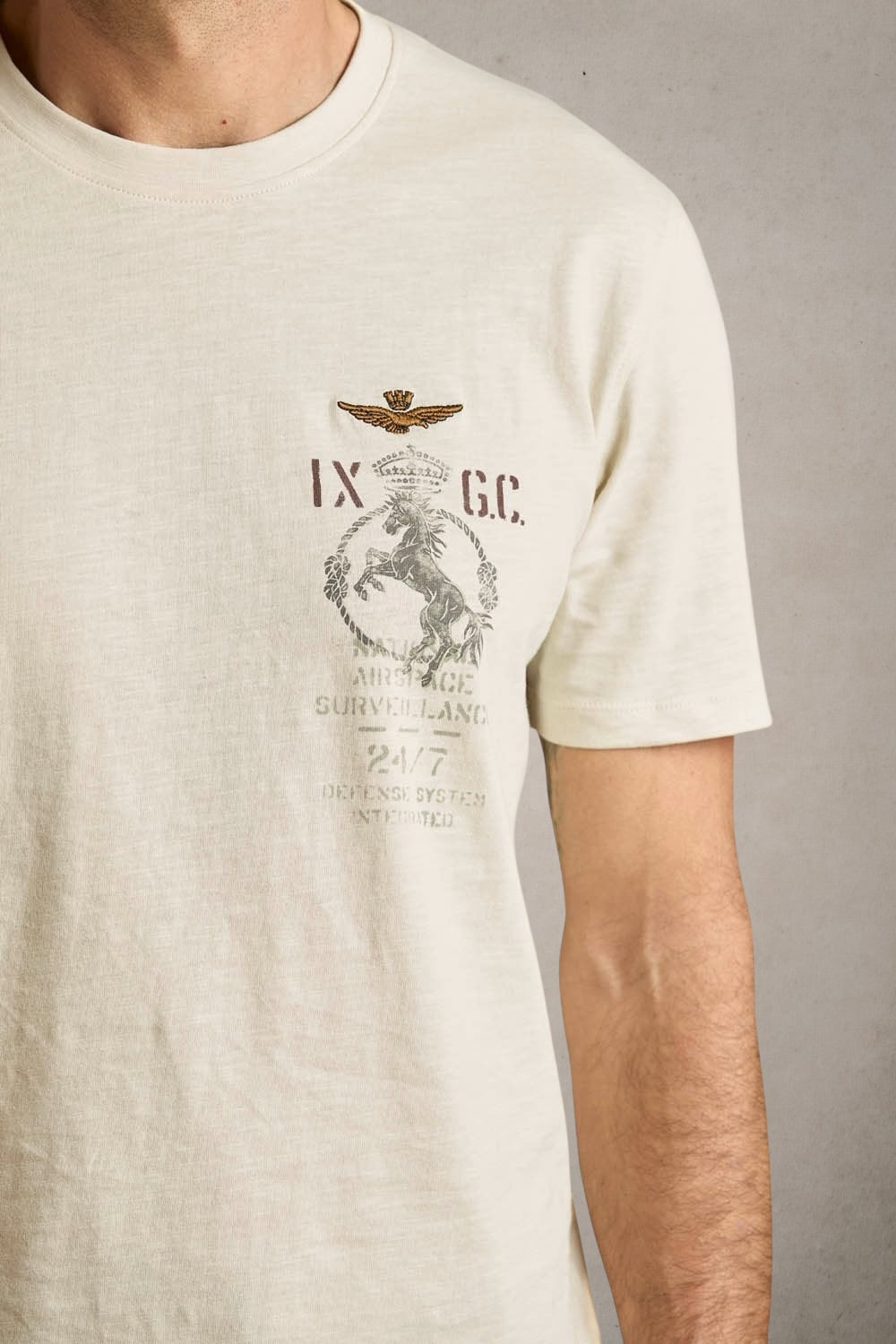 Cotton T-shirt IX Fighter Group Ice - Vaturi